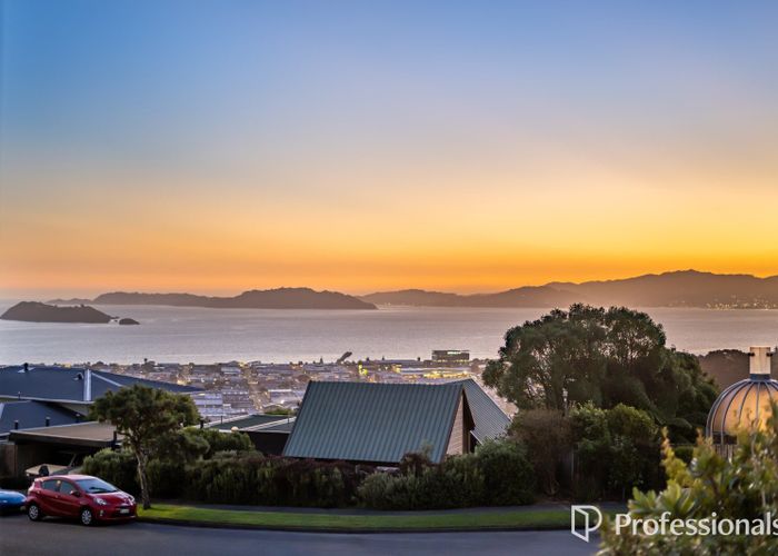  at 14 Hibiscus Grove, Maungaraki, Lower Hutt, Wellington