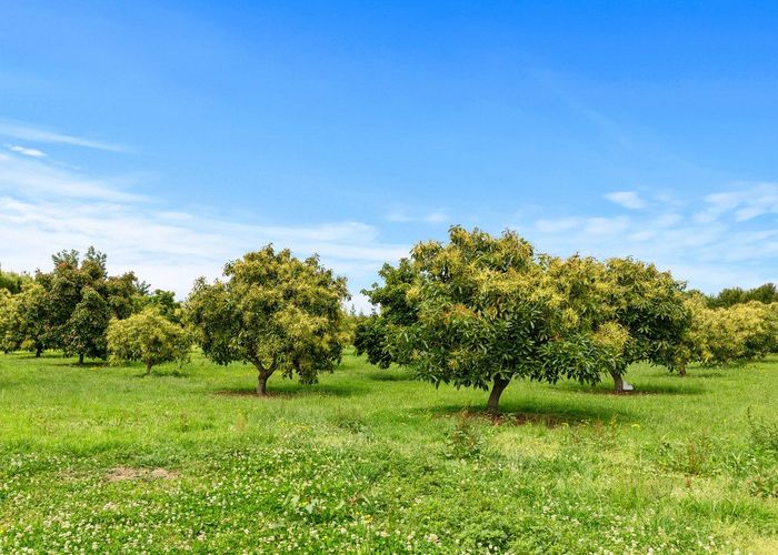  at 718 Old Coach Road, Pongakawa, Western Bay Of Plenty, Bay Of Plenty