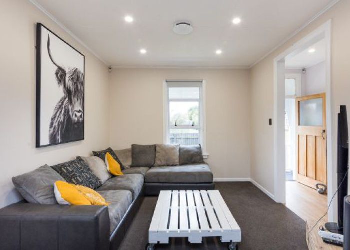  at 19 Carlisle Street, Milson, Palmerston North