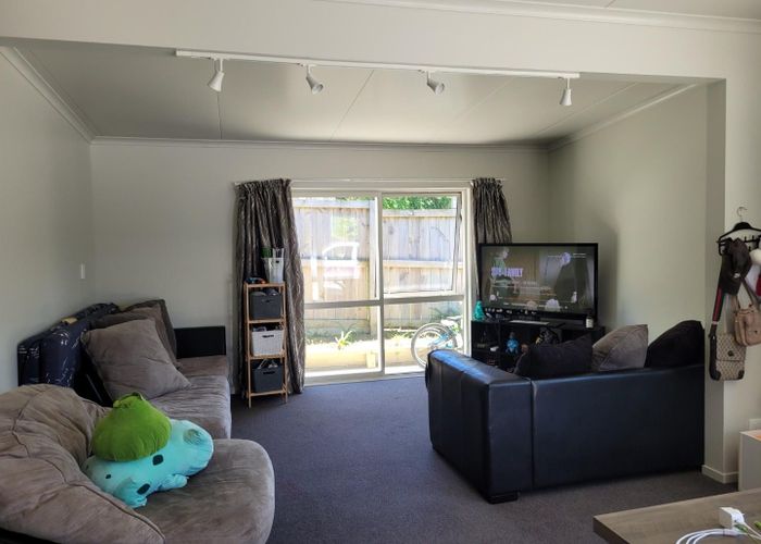  at Greerton, Tauranga, Bay Of Plenty