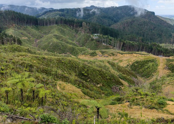  at Lot 17/355 Pretoria Road, Shannon, Horowhenua, Manawatu / Whanganui