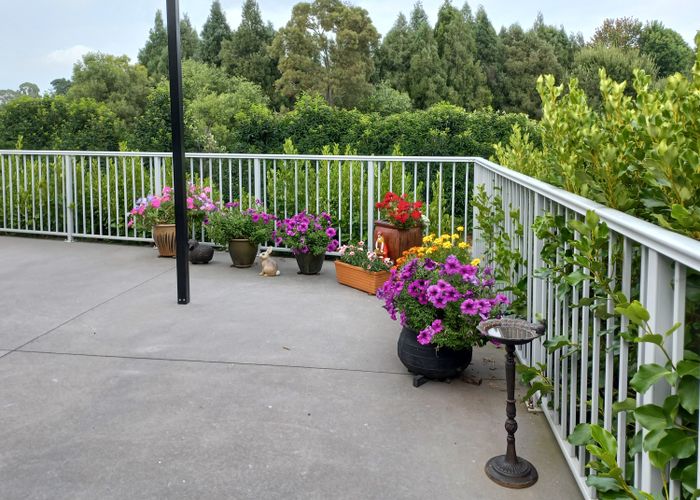  at 65C KAYELENE PLACE, Omokoroa