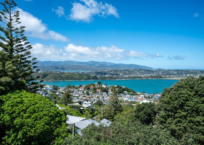  at 47 Marewa Road, Hataitai, Wellington, Wellington
