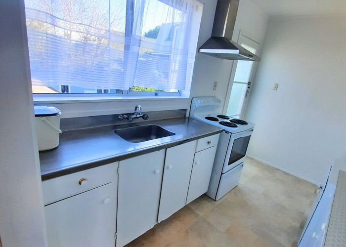  at 29 Owairaka Avenue, Mount Albert, Auckland City, Auckland