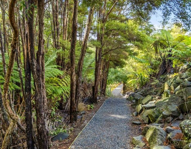  at 17 Korihi Drive, Swanson, Waitakere City, Auckland