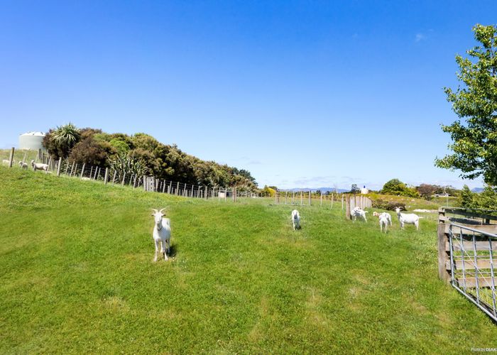  at 992c Glen Murray Rd, Churchill, Huntly, Waikato, Waikato
