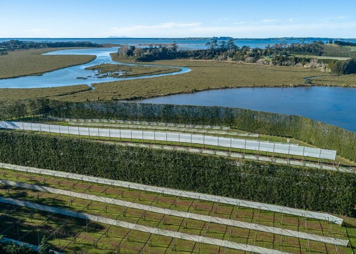  at 12 Sargent Drive, Whakamarama, Western Bay Of Plenty, Bay Of Plenty