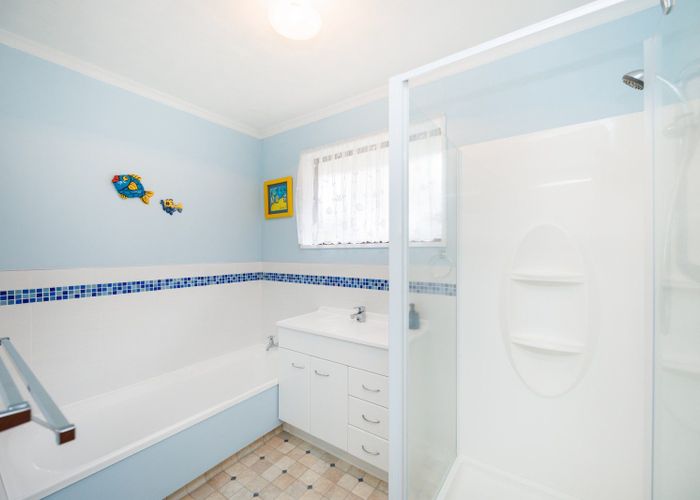  at 15 Mcarthur Street, Terrace End, Palmerston North, Manawatu / Whanganui