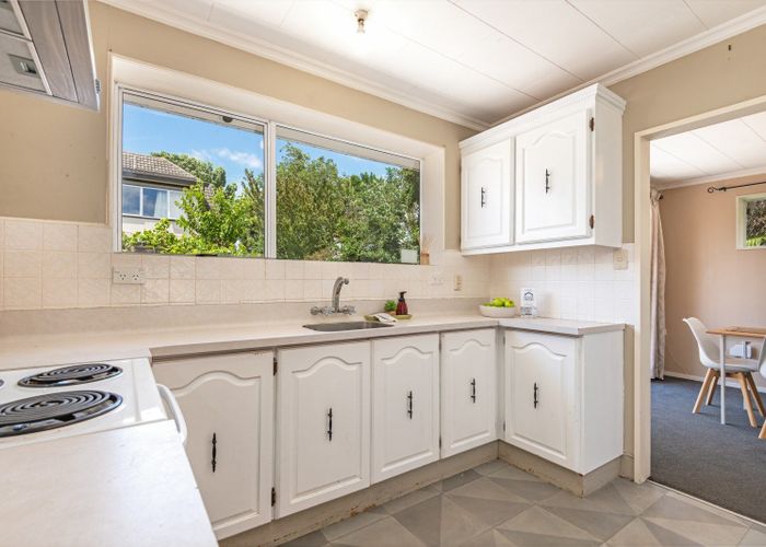  at 479A College Street, Hokowhitu, Palmerston North, Manawatu / Whanganui