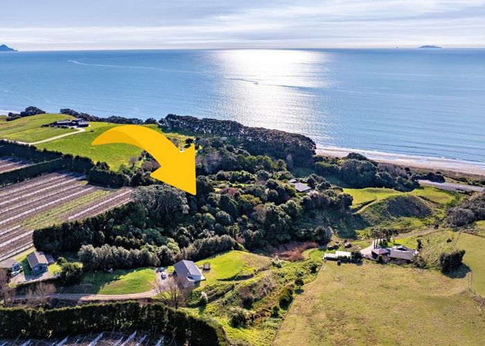  at 8a Thompson Road, Opotiki, Opotiki, Bay Of Plenty