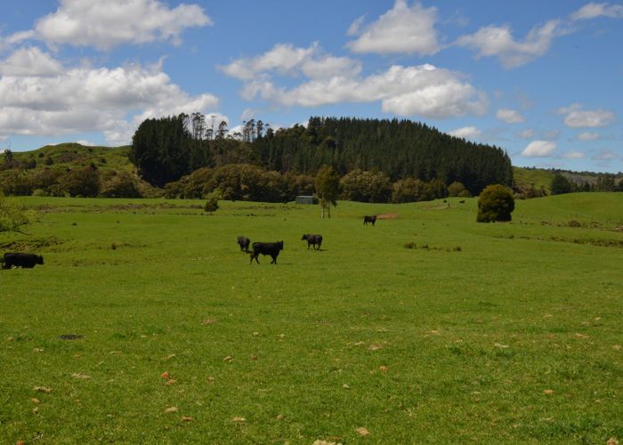 For sale 262 Waitaanga North Road, Ohura, Ruapehu, Manawatu