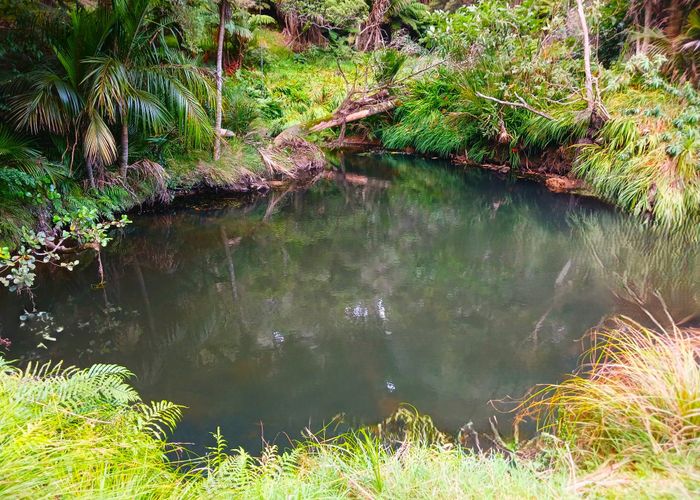  at 153 Champion Road, Kaingaroa, Kaitaia