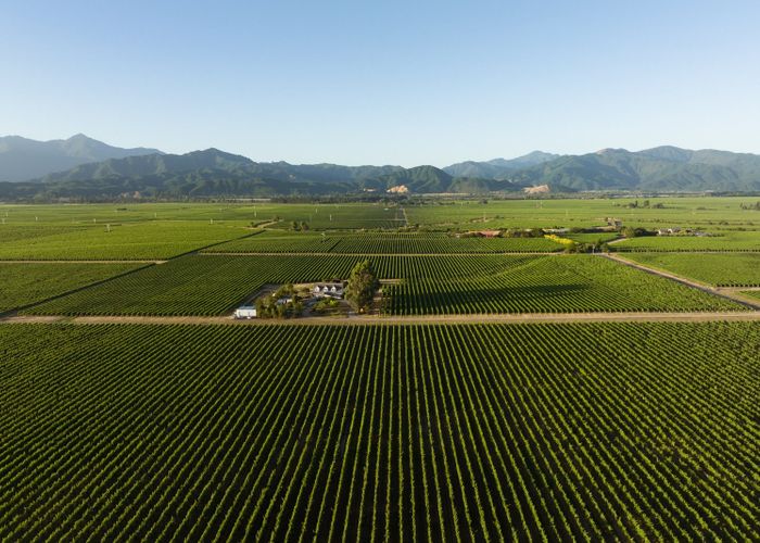  at 442 State Highway 63, Renwick, Marlborough, Marlborough