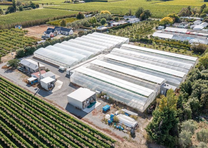  at 31 Hammerichs Road, Rapaura, Marlborough, Marlborough