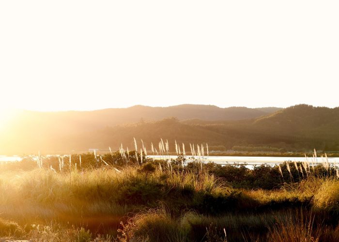  at 42 Taniwha Place, Matarangi, Thames-Coromandel, Waikato