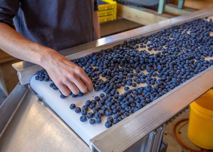  at 160 Tadmor Valley Road, Tapawera, Tasman, Nelson / Tasman