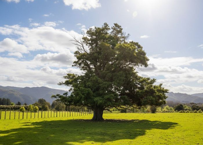  at 284 Woodside Road, Greytown, South Wairarapa, Wellington