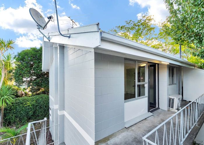  at 19C Taupata Street, Mount Eden, Auckland City, Auckland