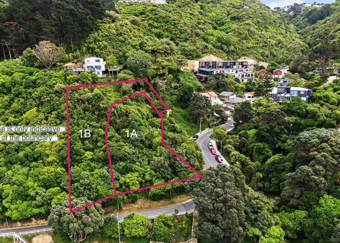  at 1A and 1B Rangiora Avenue, Kaiwharawhara, Wellington, Wellington