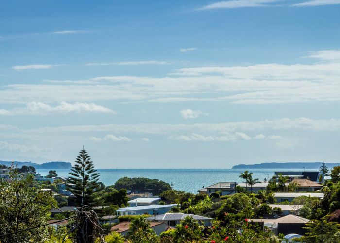  at 52 Matipo Road, Mairangi Bay, Auckland