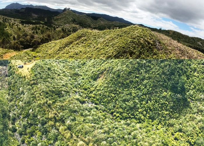  at 0 Waiotehue Road, Herekino, Kaitaia