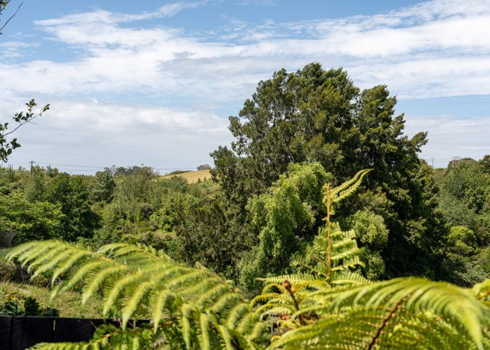  at 17B Snowden Street, Ohauiti, Tauranga, Bay Of Plenty