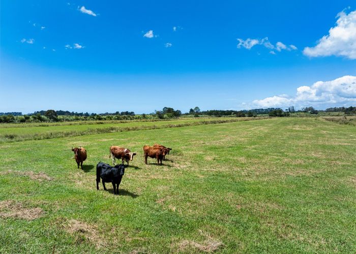  at 36 Sedgemoor Lane, Tahawai