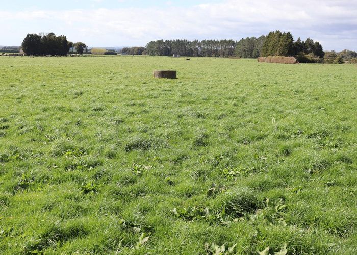  at 2403 Mountain Road, Tariki, New Plymouth, Taranaki