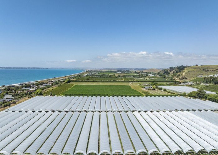  at Thurley Place, Bay View, Napier, Hawke's Bay