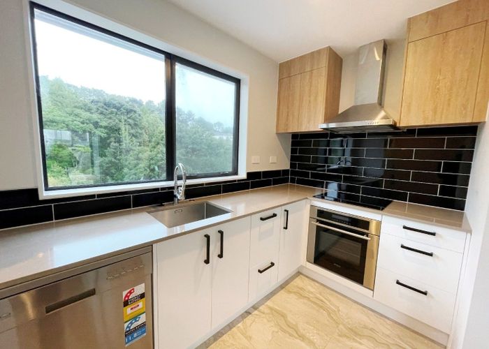  at 66 Makamaka Lane, Albany, North Shore City, Auckland