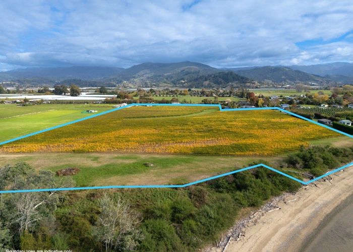  at 146 Lodder Lane, Riwaka, Tasman, Nelson / Tasman