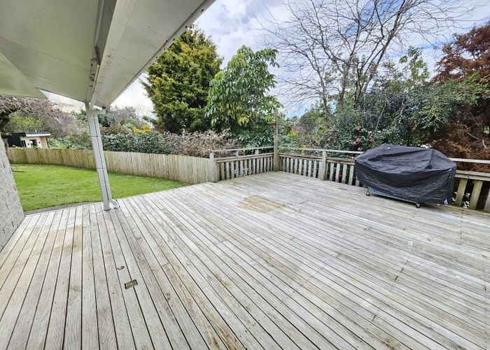  at 9 Sheppard Street, Gate Pa, Tauranga