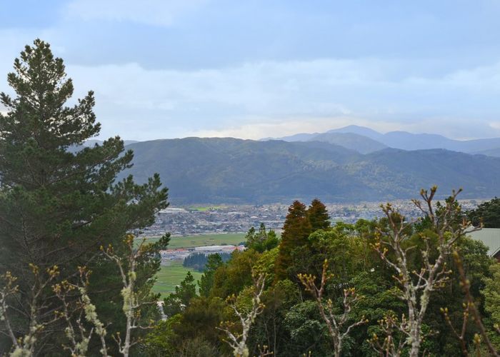  at 20 Avro Road, Blue Mountains, Upper Hutt