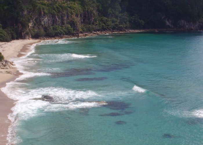 at 339 Onemana Drive, Onemana, Whangamatā