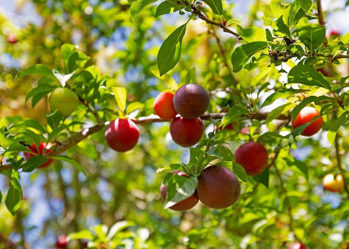  at 50 Waitoki Road, Waitoki, Rodney, Auckland