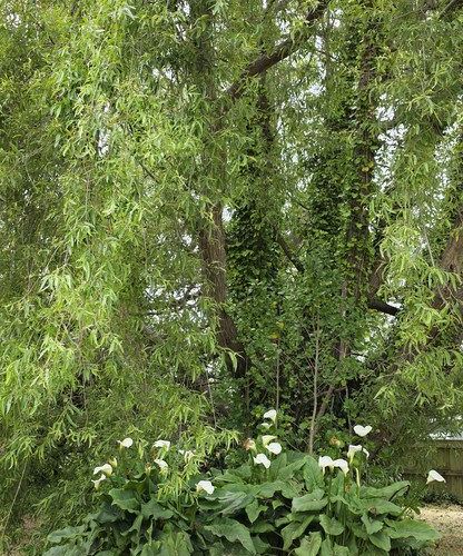  at 86 Rangiuru Road, Otaki Beach, Kapiti Coast, Wellington