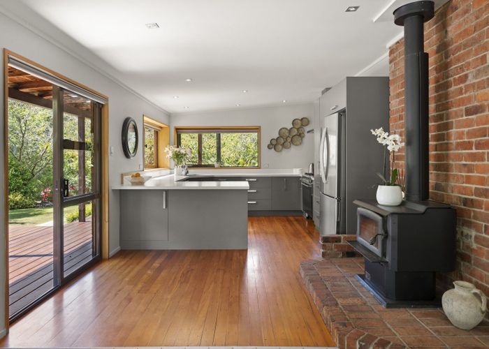  at 51 Flower Street, Fairfield, Dunedin