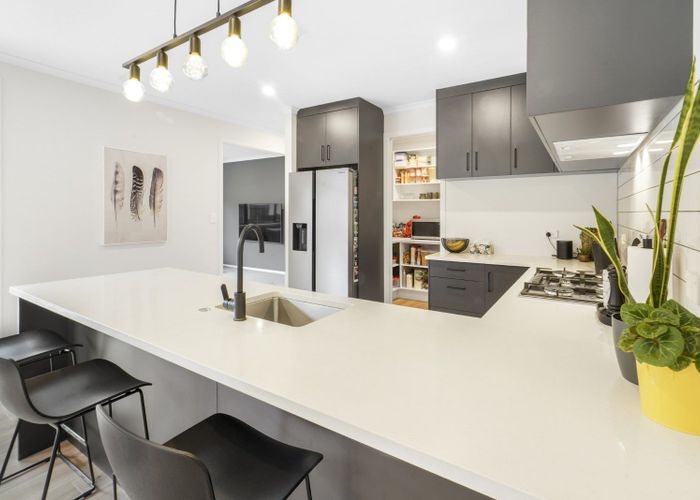  at 13 Sydney Place, Flagstaff, Hamilton
