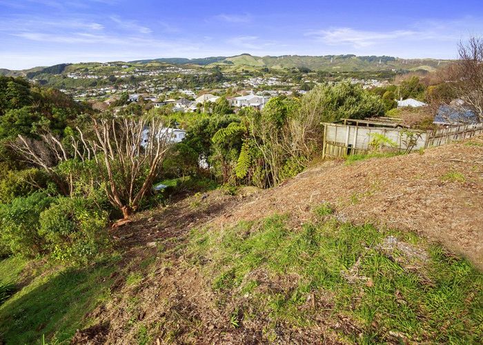  at 58D Lincoln Avenue, Tawa, Wellington, Wellington