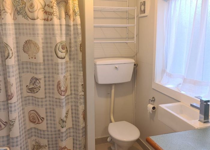  at 9 Luke Street, Ocean Grove, Dunedin