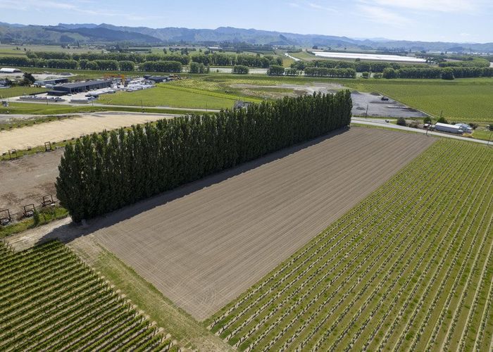  at Lot 1 Dunstan Road, Matawhero, Gisborne, Gisborne