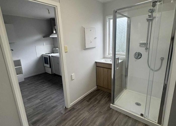  at 2/44 Caulton Street, Saint Johns, Auckland City, Auckland