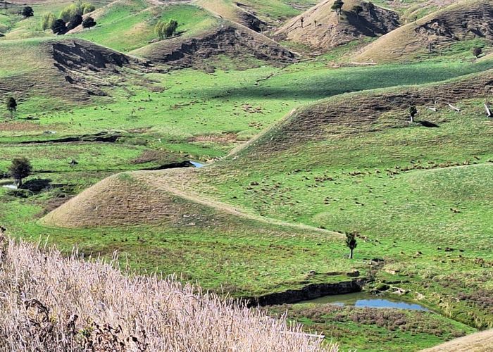  at Mangaone Road, Pongaroa, Tararua, Manawatu / Whanganui