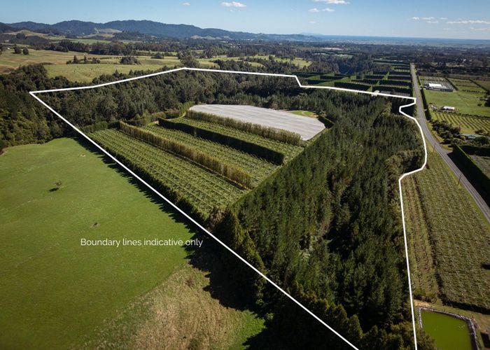  at 1044 Te Matai Road, Te Puke, Western Bay Of Plenty, Bay Of Plenty