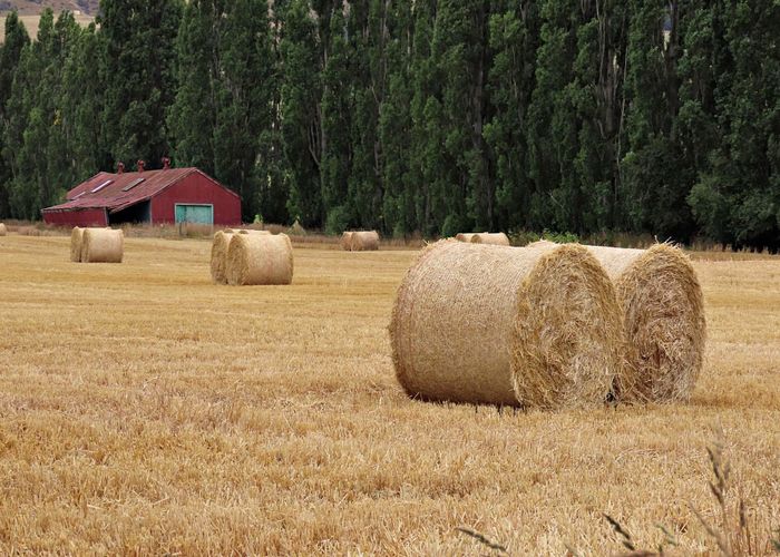  at 0 Ettrick Road, Roxburgh, Central Otago, Otago