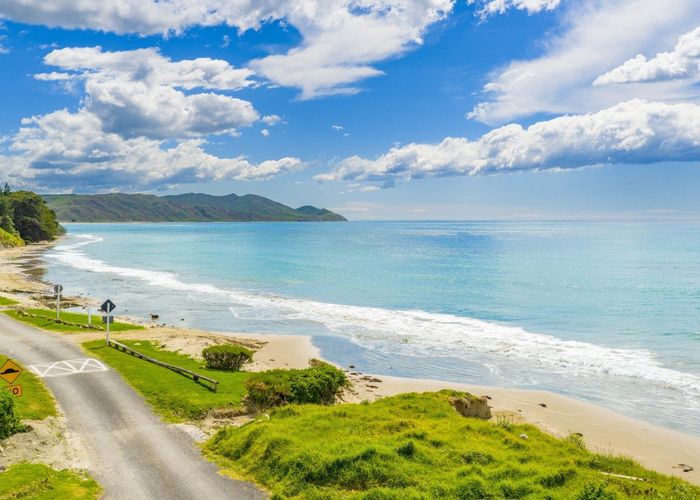  at 202 Pourerere Beach Road, Aramoana, Omakere