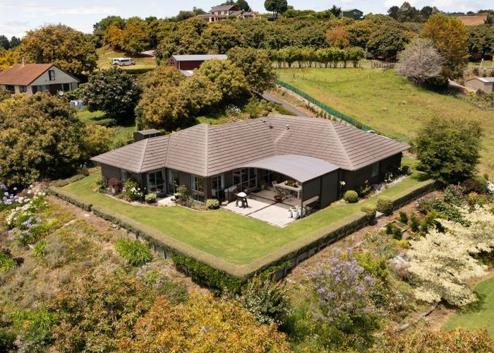  at 84 Oliver Road, Tauranga