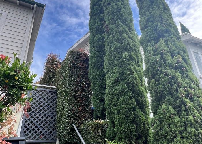  at 9  Churton Street, Parnell, Auckland City, Auckland