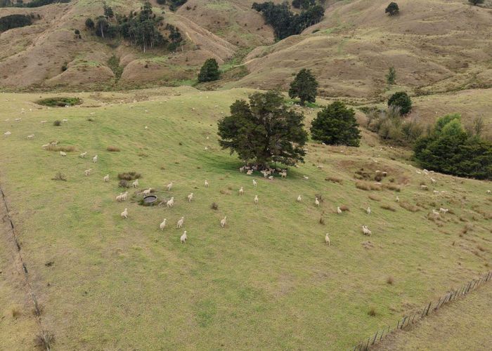  at 290 Hillcrest Road, Waiotira, Whangarei, Northland