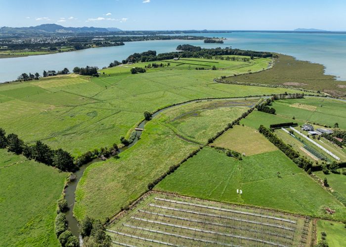 For sale Sharp Road, Aongatete, Western Bay Of Plenty, Bay Of Plenty